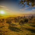 20260221192710-b004b1af