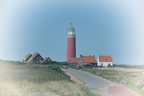 Holland Texel